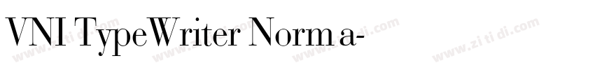 VNI TypeWriter Norma字体转换